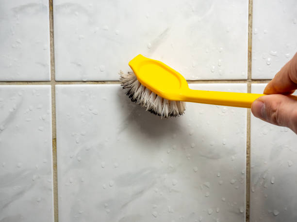 Best Mold Damage Repair  in Central City, PA