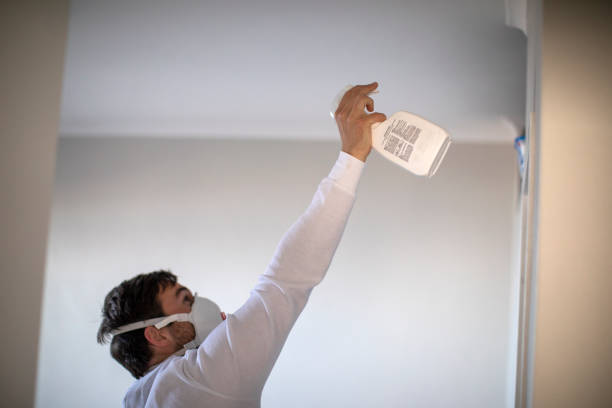 Best Fast Mold Removal  in Central City, PA