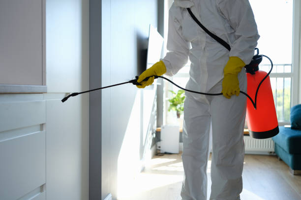 Best Emergency Mold Removal  in Central City, PA