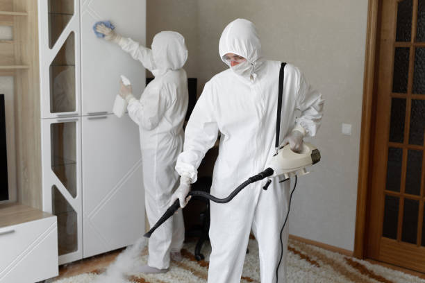 Best Office Mold Removal Services  in Central City, PA