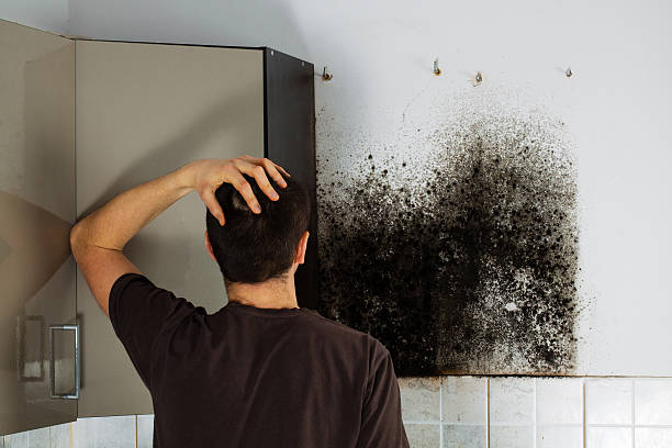 Best Crawl Space Mold Removal  in Central City, PA